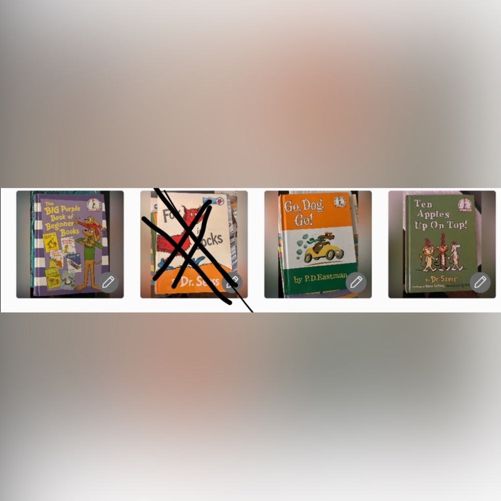 Collectors Dr. Seuss book Bundle